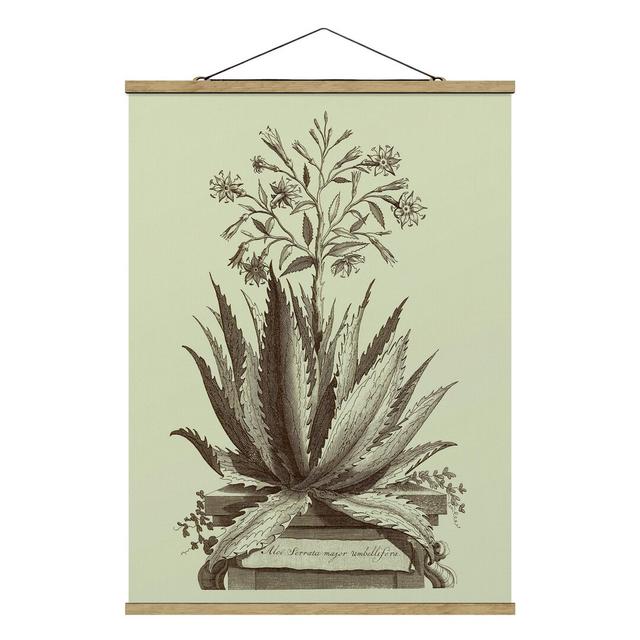 Stoffbild Vintage Aloe Serrata Sommerallee Größe: 106,5 cm H x 80 cm B x 0,3 cm T on Productcaster.