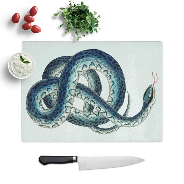 Tempered Glass Snake Chopping Board East Urban Home Size: 28.5 cm W x 20 cm L on Productcaster.