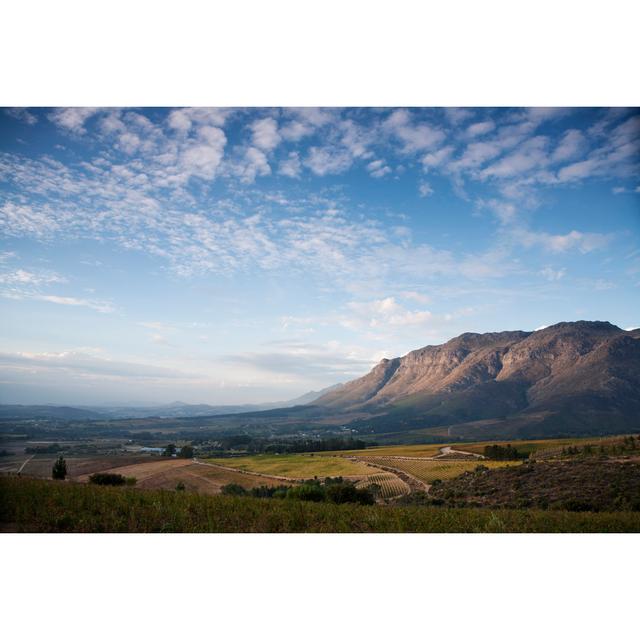 Winelands by Cookedphotos - No Frame Print on Canvas Alpen Home Size: 30cm H x 46cm W on Productcaster.