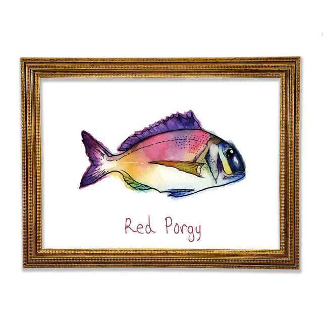 Red Porgy Rainbow Framed Print Highland Dunes Size: 42cm H x 59.7cm W on Productcaster.