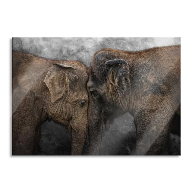 Cuddling Old Elephant Couple - Unframed Photograph on Glass Brayden Studio Size: 70cm H x 100cm W x 0.4cm D on Productcaster.