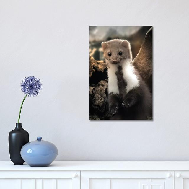 The Cute Weasel by Zenja Gammer - Print on Canvas World Menagerie Format: Wrapped Canvas, Size: 45.72cm H x 30.48cm W x 1.91cm D on Productcaster.