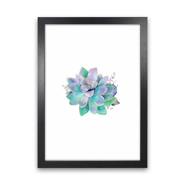 Aqua Succulent - Graphic Art Print on Paper 17 Stories Frame Option: Black Framed, Size: 34cm H x 25cm W x 3cm D on Productcaster.