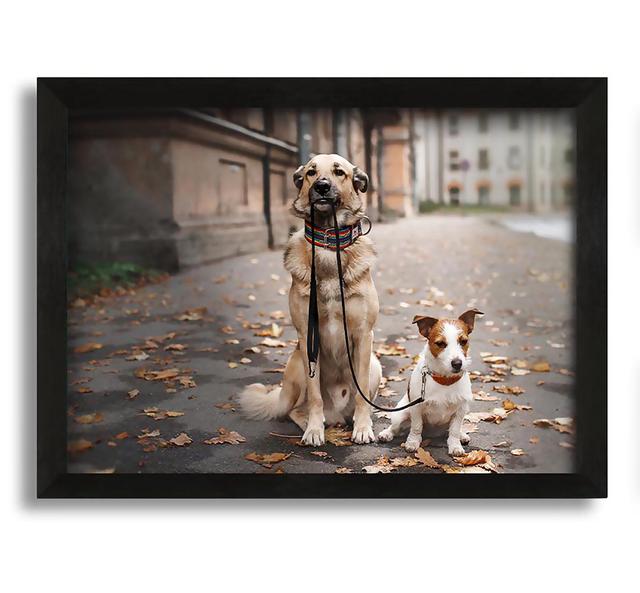 Dog Walking Dog - Picture Frame Graphic Art on Canvas Latitude Run Size: 21cm H x 30cm W x 10cm D on Productcaster.