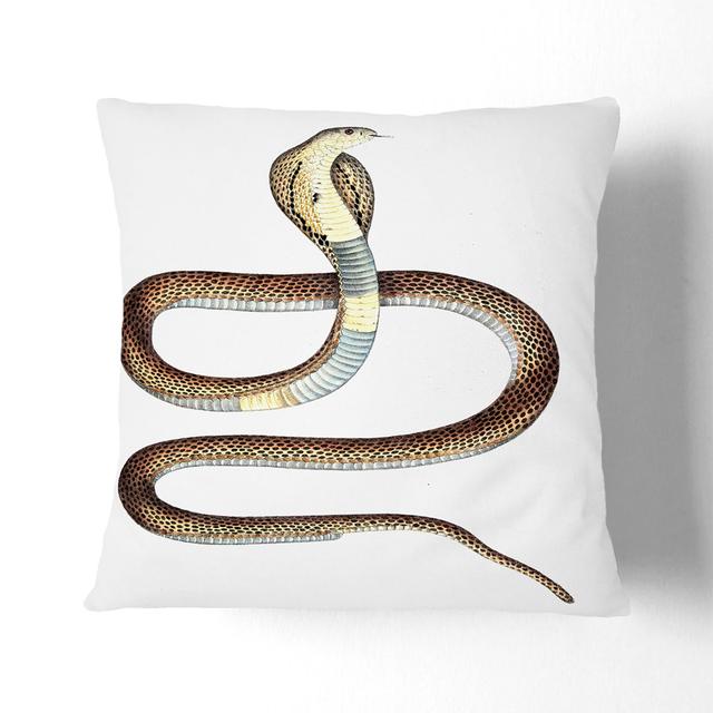 Cobra Capella Snake Illustration by John Edward Gray Cushion with Filling East Urban Home Size: 40 x 40 cm, Backing Colour: Black on Productcaster.