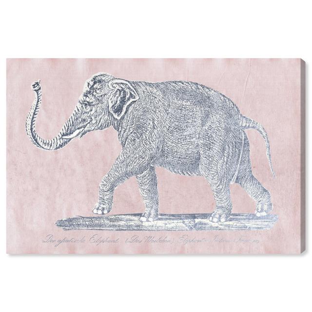 'Elephant Aged Paper Pink' Graphic Art on Wrapped Canvas East Urban Home Size: 50.8 cm H x 76.2 cm W on Productcaster.