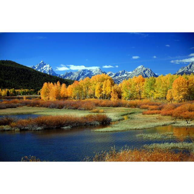 Herbst am Oxbow Bend Alpen Home Größe: 120 cm H x 80 cm B on Productcaster.