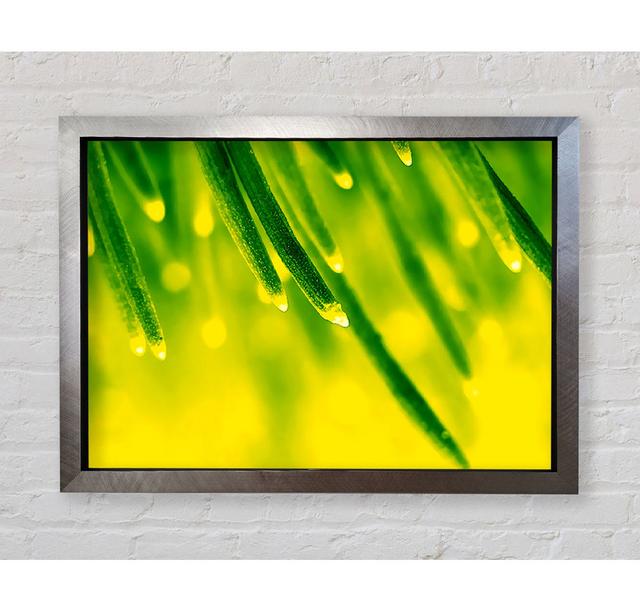 Energy Of A Plant - Print Brayden Studio Format: Silver Framed Paper, Size: 42cm H x 59.7cm W x 3.4cm D on Productcaster.