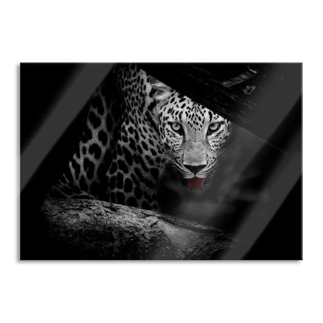 Curious Cheetah - Unframed Photograph on Glass Canora Grey Size: 60cm H x 80cm W x 0.4cm D on Productcaster.