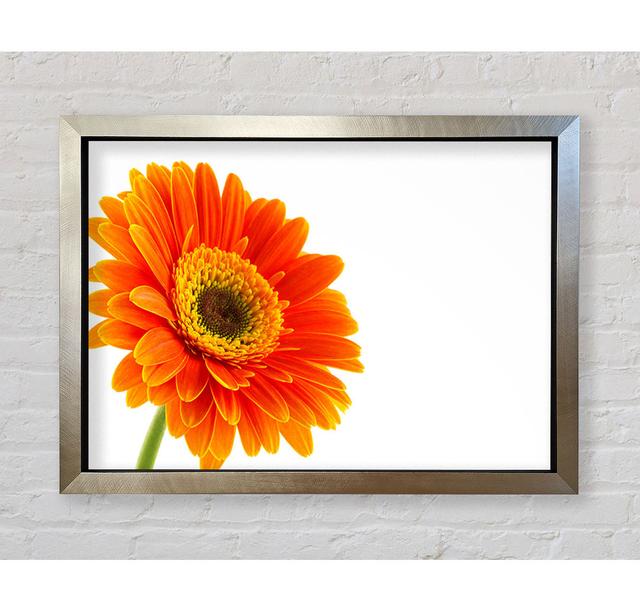 Gorgeous Orange Gerbera - Print Ebern Designs Size: 42cm H x 59.7cm W on Productcaster.