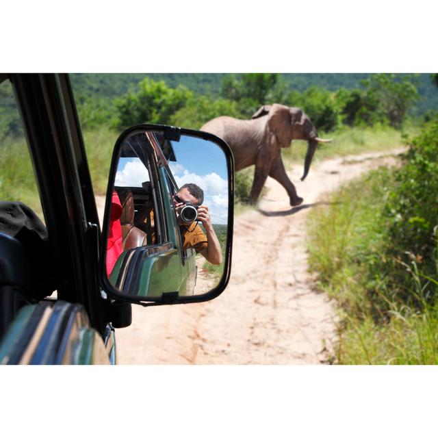 Elephant On The Road by Narvikk - No Frame Art Prints on Canvas World Menagerie Size: 51cm H x 76cm W on Productcaster.