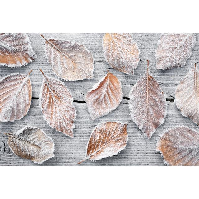 Leaves Covered in Frost by Malerapaso - Wrapped Canvas Art Prints 17 Stories Size: 81cm H x 122cm W x 3.8cm D on Productcaster.