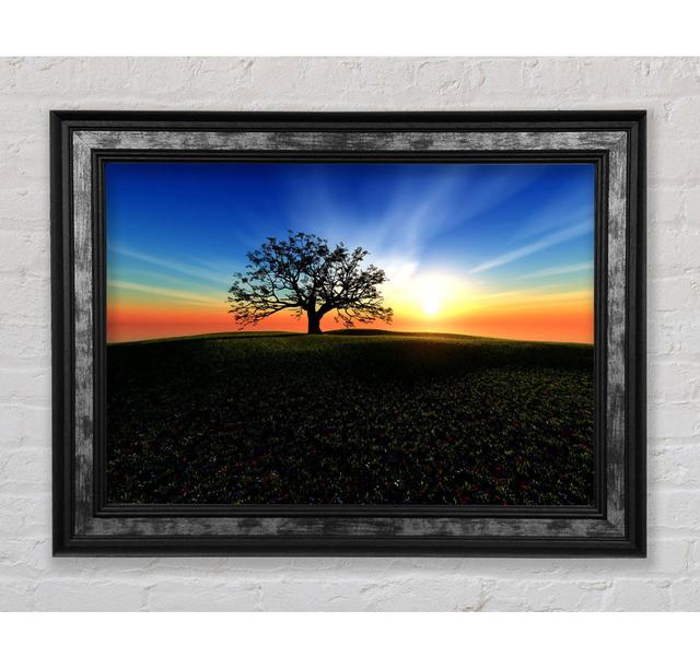 Sunset Hill - Single Picture Frame Art Prints Bright Star Size: 42cm H x 59.7cm W x 8cm D on Productcaster.