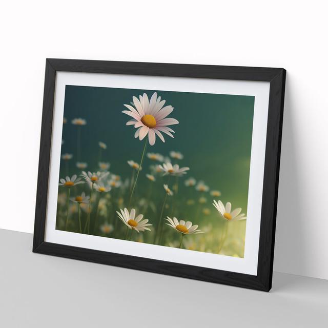 Beauteous Daisy Flowers - Picture Frame Graphic Art 17 Stories Size: 25cm H x 34cm W x 2cm D, Frame Colour: Black Framed on Productcaster.