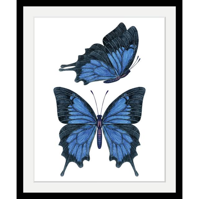 Gerahmtes Poster „Butterfly“, Grafikdruck Ebern Designs on Productcaster.