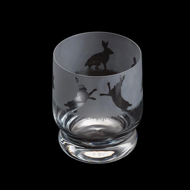 Dartington Crystal Aspect Hare 350ml Drinking Glass (Set of 2) Dartington Crystal on Productcaster.