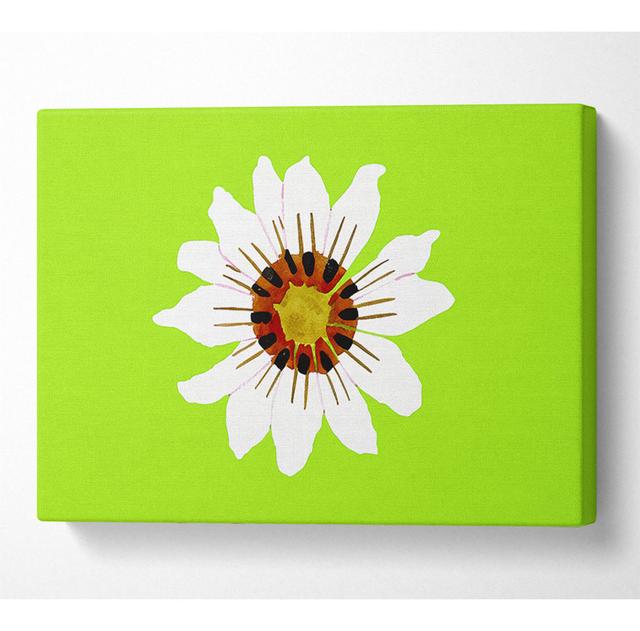 White Daisy Greens - Print ClassicLiving Size: 66cm H x 106.6cm W x 10cm D on Productcaster.