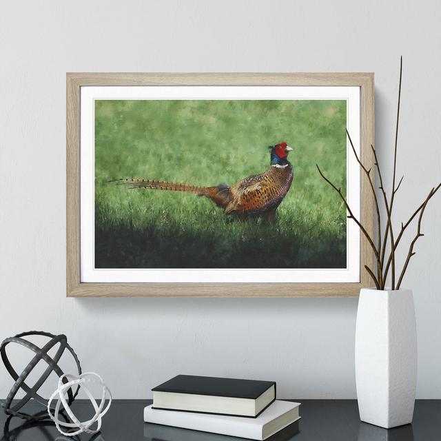 Pheasant Bird Vol.2 - Picture Frame Graphic Art East Urban Home Size: 48cm H x 65cm W x 2cm D, Frame Option: Oak Framed on Productcaster.