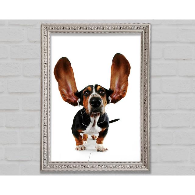 Basset Hound Music - Single Picture Frame Art Prints Bright Star Size: 42.1cm H x 29.7cm W on Productcaster.