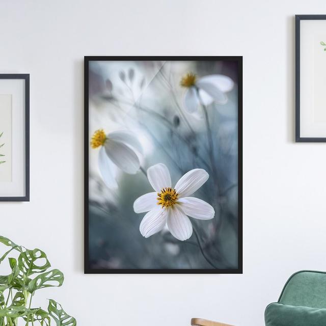 Cosmos in Pastel - Picture Frame Graphic Art Marlow Home Co. Size: 55cm H x 40cm W x 2cm D, Frame Option: Black Framed on Productcaster.