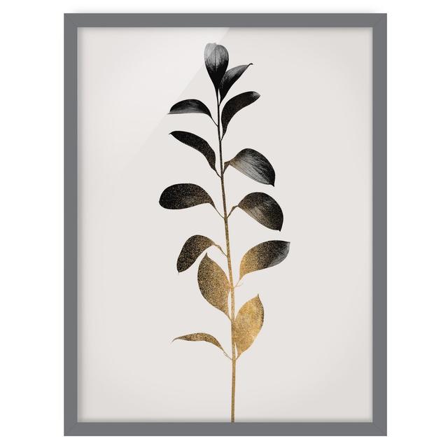 Plant World - Gold and Grey - Picture Frame Graphic Art August Grove Size: 40cm H x 30cm W x 2cm D, Matte Colour: No Matte, Format: Grey on Productcaster.