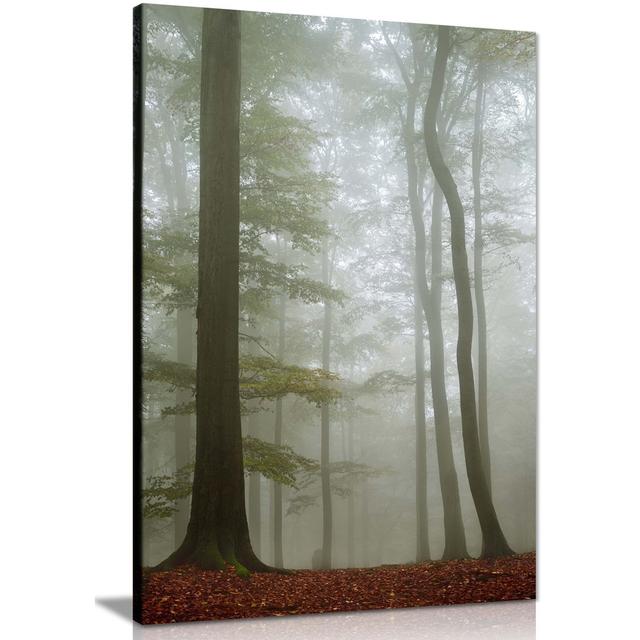 Panther Print Fine Art Prints Misty Forest Tall Trees Artistic Framed Canvas Print, Pictures For Home Walls, Bedroom, Living Room & Bathroom Décor Pan on Productcaster.