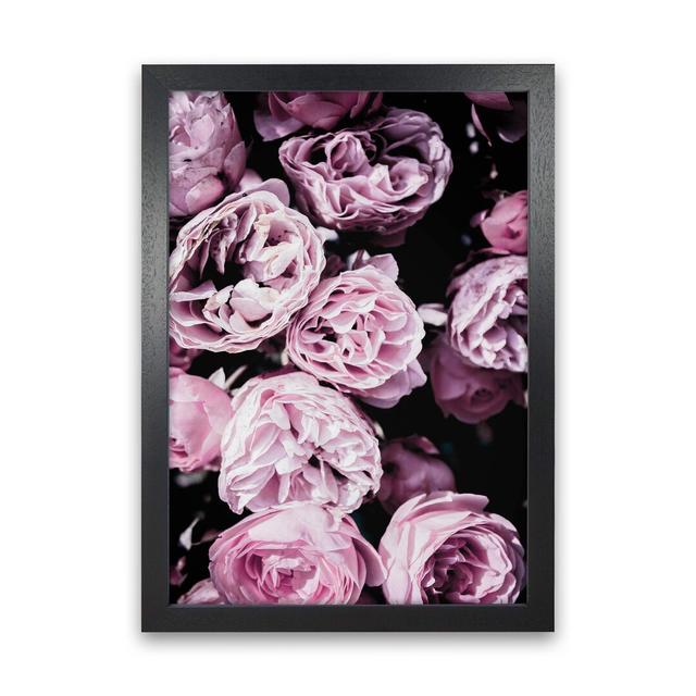 Pink Flowers II by Victoria Frost - Print Mercer41 Size: 46cm H x 34cm W x 3cm D, Format: Black Framed on Productcaster.