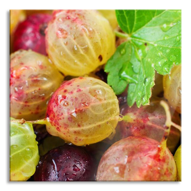 Delicious Gooseberries - No Frame Print on Glass Brayden Studio Size: 80cm H x 80cm W x 0.4cm D on Productcaster.