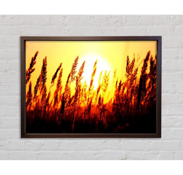 Beautiful Sun Rise Reeds - Single Picture Frame Art Prints on Canvas Bright Star Size: 59.7cm H x 84.1cm W x 3.3cm D on Productcaster.