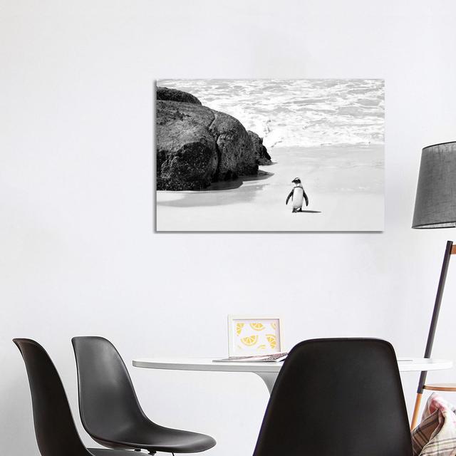 Pinguin am Boulders Beach Haus am Meer Größe: 66,04 cm H x 101,6 cm B, Format: Leinwandbild on Productcaster.