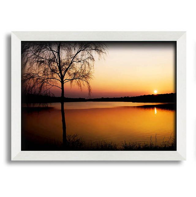 Peaceful Lake At Dawn Framed Print Wall Art Ophelia & Co. Size: 42cm H x 59.7cm W on Productcaster.