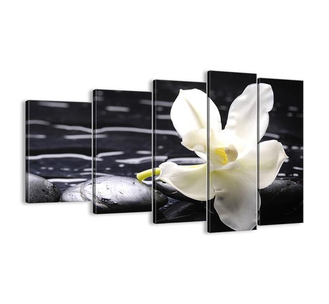 Study in Black and White - 5 Piece Unframed Photograph Print Set on Canvas Bloomsbury Market Size: 100cm H x 150cm W x 1.8cm D on Productcaster.