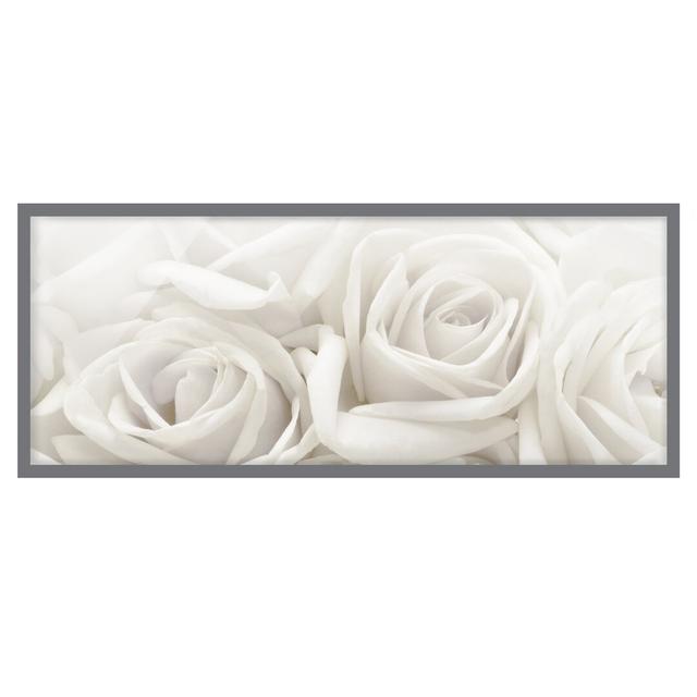 White Roses - Picture Frame Graphic Art ClassicLiving Size: 30cm H x 75cm W x 2cm D, Frame Option: Grey Framed on Productcaster.