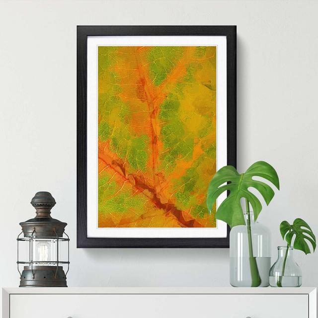 Map of a Leaf in Abstract - Picture Frame Graphic Art Print East Urban Home Size: 50cm H x 35cm W x 2cm D, Frame Option: Black on Productcaster.