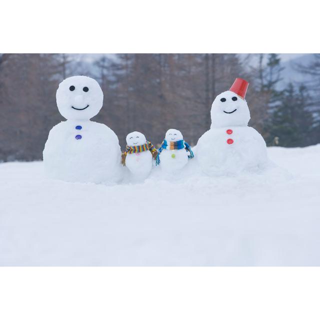 Snowman Family by TAGSTOCK - Wrapped Canvas Photograph 17 Stories Size: 30cm H x 46cm W x 3.8cm D on Productcaster.