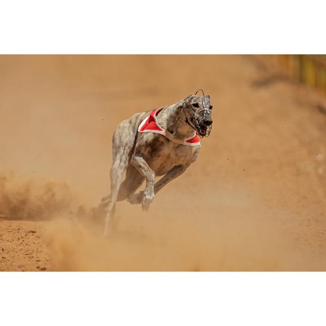 Sprinting Greyhound - Wrapped Canvas Print Ebern Designs Size: 30cm H x 46cm W on Productcaster.