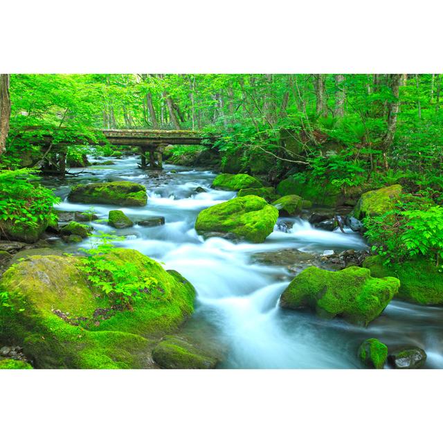 Stream in Green Forest - Wrapped Canvas Photograph Union Rustic Size: 61cm H x 91cm W x 3.8cm D on Productcaster.