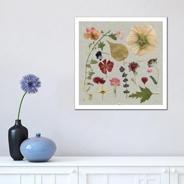 Pressed Assortment I by Carol Robinson - Wrapped Canvas Print Brambly Cottage Size: 45.72cm H x 45.72cm W x 3.81cm D on Productcaster.