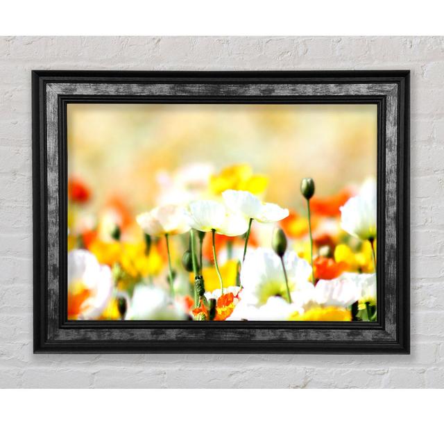 Colourful Summer Flowers - Single Picture Frame Art Prints Bright Star Size: 59.7cm H x 84.1cm W x 8cm D on Productcaster.