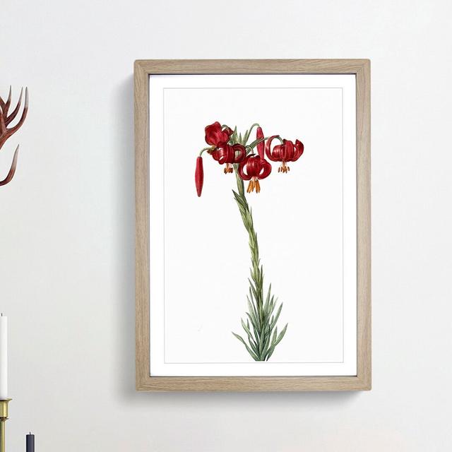 Red Lily Flowers by Pierre-Joseph Redoute - Picture Frame Painting Print East Urban Home Frame Option: Oak Framed, Size: 48cm H x 36cm W x 2cm D on Productcaster.