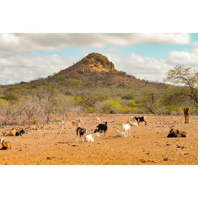 Backiny by Andressa S. - Wrapped Canvas Photograph Brambly Cottage Size: 30cm H x 46cm W x 3.8cm D on Productcaster.