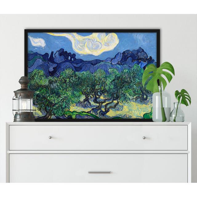 Gerahmtes Poster The Olive Trees von Vincent Van Gogh ClassicLiving Größe: 55 cm H x 40 cm B x 2.5 cm T on Productcaster.