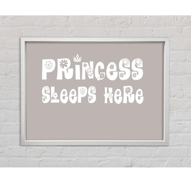 Princesss Sleeps Here - Single Picture Frame Art Prints on Canvas Happy Larry Colour: Beige, Size: 59.7cm H x 84.1cm W x 3.3cm D on Productcaster.