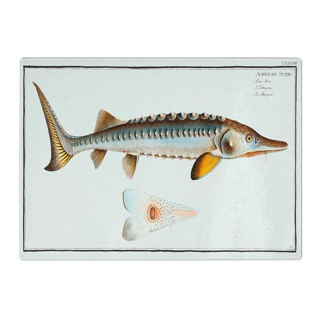 Tempered Glass Sturgeon Fish by M.E. Bloch Chopping Board East Urban Home Size: 28.5 cm x 20 cm on Productcaster.