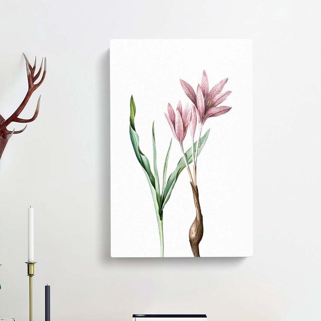 Pink Autumn Crocus Flowers by Pierre-Joseph Redoute - Wrapped Canvas Painting East Urban Home Size: 76cm H x 50cm W x 3cm D on Productcaster.