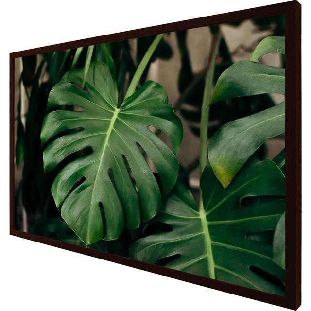 Abdikarim Monstera Leaves In Home Interior - Single Picture Frame Art Prints Bay Isle Home Size: 61cm H x 91cm W x 4cm D, Frame Option: Brown Framed on Productcaster.