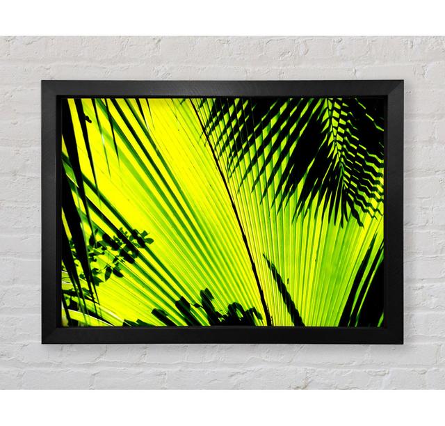 Lime Palm Tree - Single Picture Frame Art Prints 17 Stories Size: 42cm H x 59.7cm W on Productcaster.