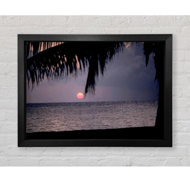 Pink Sun Sunset - Single Picture Frame Art Prints Bright Star Size: 84.1cm H x 118.9cm W x 3.4cm D on Productcaster.