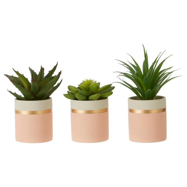 3 Artificial Succulent Plant in Pot Set Canora Grey Container Colour: Pink/White on Productcaster.