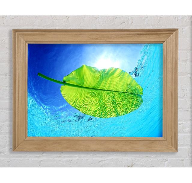 Blue Waters Of A Green Leaf - Single Picture Frame Art Prints Bright Star Size: 100cm H x 141.4cm W x 8cm D on Productcaster.